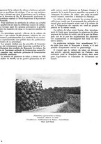 giornale/CFI0441518/1939/unico/00000198