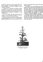 giornale/CFI0441518/1939/unico/00000215