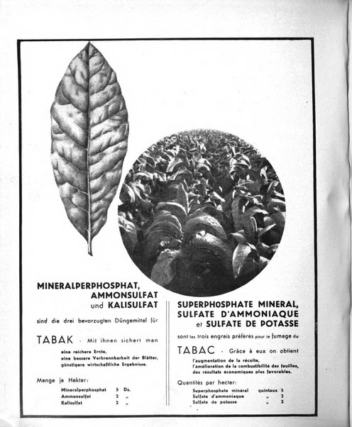 Le tabac bulletin d'information et de documentation du Centre international du tabac