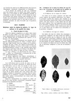 giornale/CFI0441518/1939/unico/00000439