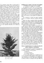 giornale/CFI0441518/1939/unico/00000442
