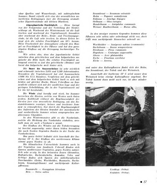 Le tabac bulletin d'information et de documentation du Centre international du tabac