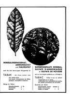 giornale/CFI0441518/1940-1942/unico/00000014