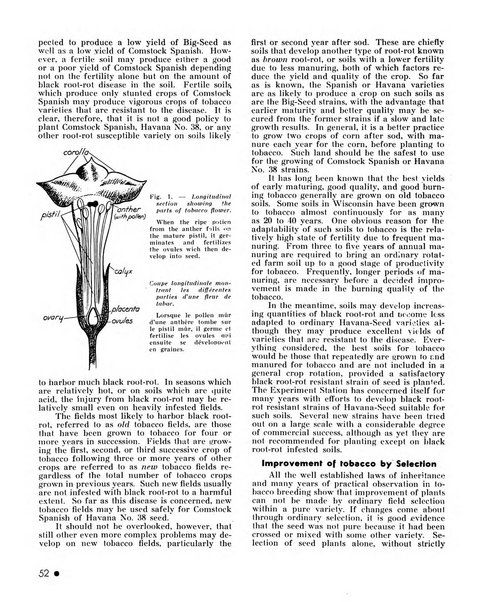 Le tabac bulletin d'information et de documentation du Centre international du tabac