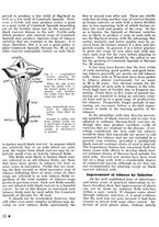 giornale/CFI0441518/1940-1942/unico/00000058
