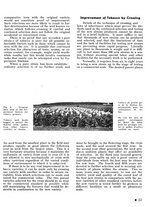giornale/CFI0441518/1940-1942/unico/00000059