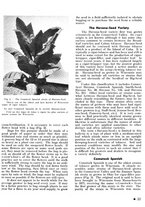 giornale/CFI0441518/1940-1942/unico/00000061