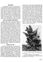 giornale/CFI0441518/1940-1942/unico/00000063