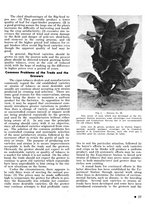 giornale/CFI0441518/1940-1942/unico/00000065
