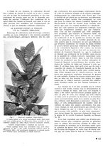 giornale/CFI0441518/1940-1942/unico/00000069