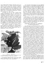 giornale/CFI0441518/1940-1942/unico/00000077
