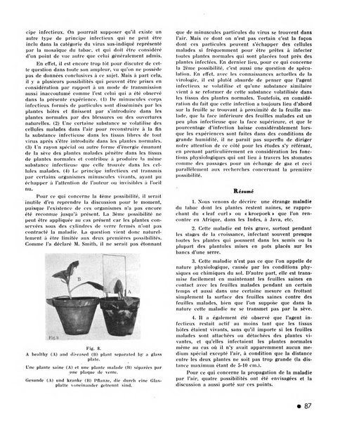 Le tabac bulletin d'information et de documentation du Centre international du tabac