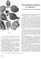 giornale/CFI0441518/1940-1942/unico/00000152