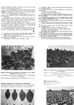 giornale/CFI0441518/1940-1942/unico/00000215