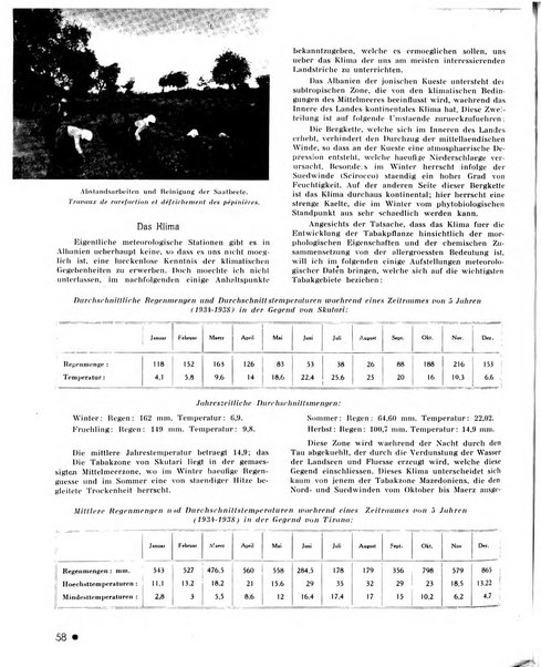 Le tabac bulletin d'information et de documentation du Centre international du tabac