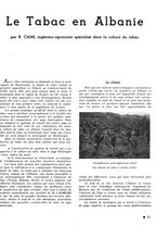 giornale/CFI0441518/1940-1942/unico/00000249