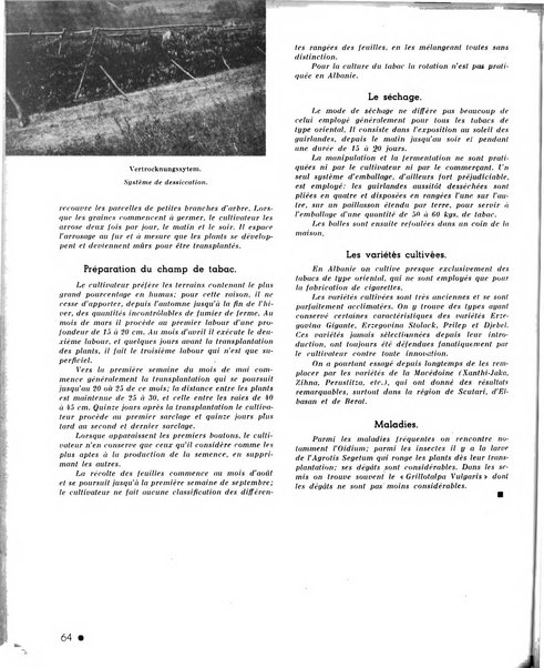 Le tabac bulletin d'information et de documentation du Centre international du tabac