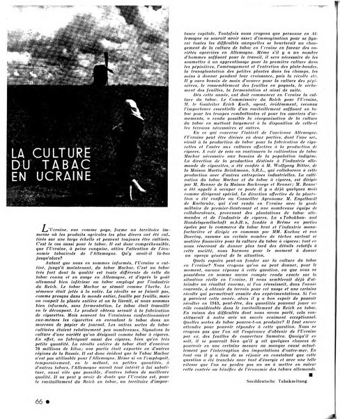 Le tabac bulletin d'information et de documentation du Centre international du tabac