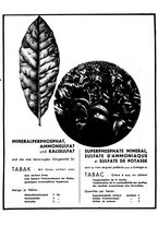giornale/CFI0441518/1940-1942/unico/00000300