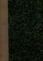 giornale/CFI0443580/1924/v.2