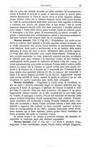 giornale/CFI0443703/1924/unico/00000019
