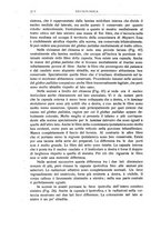 giornale/CFI0443703/1924/unico/00000388