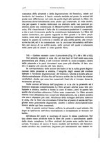 giornale/CFI0443703/1924/unico/00000402