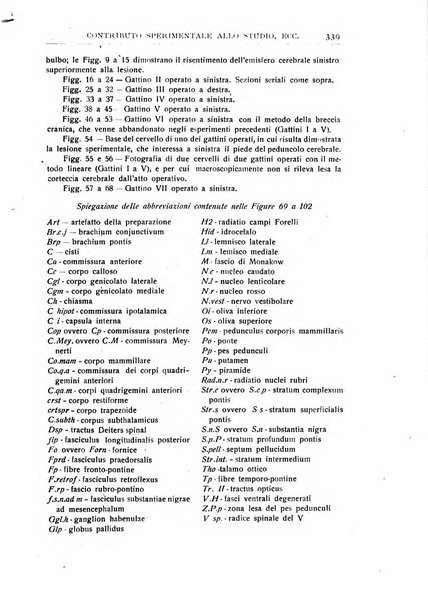 Neurologica rivista italiana di neuropatologia e psichiatria