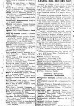 giornale/CFI0445708/1939/v.2/00000399