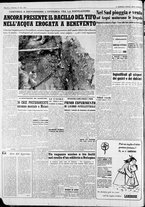 giornale/CFI0446562/1954/Novembre/123
