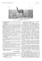 giornale/CFI0525496/1932/unico/00000129