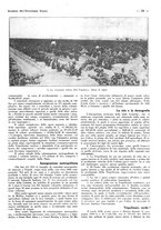 giornale/CFI0525496/1932/unico/00000221