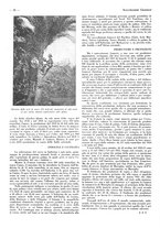 giornale/CFI0525496/1934/unico/00000252