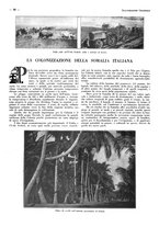 giornale/CFI0525496/1934/unico/00000620