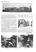 giornale/CFI0525498/1935/unico/00000029
