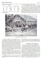 giornale/CFI0525498/1935/unico/00000043