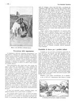 giornale/CFI0525498/1935/unico/00000044