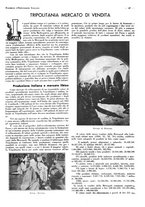 giornale/CFI0525498/1935/unico/00000153