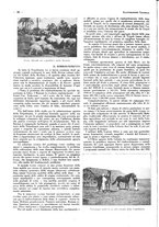 giornale/CFI0525498/1935/unico/00000172