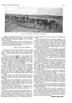 giornale/CFI0525498/1935/unico/00000331