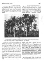 giornale/CFI0525498/1935/unico/00000335