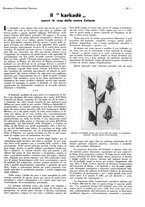 giornale/CFI0525498/1935/unico/00000343