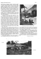giornale/CFI0525498/1935/unico/00000567