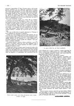 giornale/CFI0525498/1935/unico/00000656