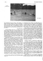 giornale/CFI0525498/1935/unico/00000850