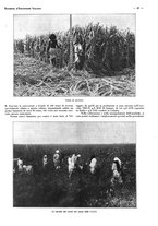 giornale/CFI0525498/1935/unico/00000867