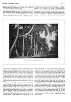 giornale/CFI0525499/1936/unico/00000207