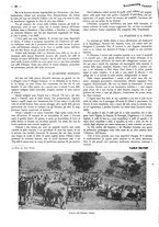 giornale/CFI0525499/1936/unico/00000234