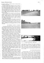 giornale/CFI0525499/1936/unico/00000239