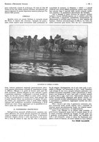 giornale/CFI0525499/1936/unico/00000385